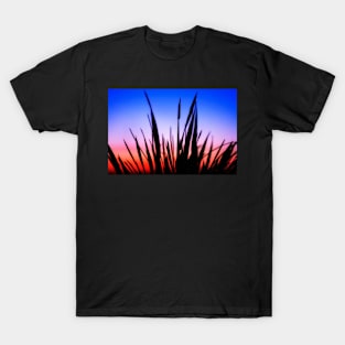 Sunset Grass Silhouette T-Shirt